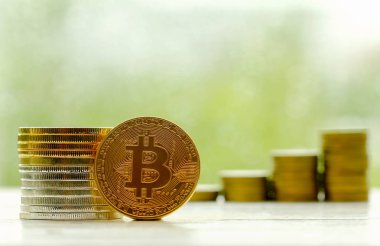 Bitcoin Şifreleme Dijital Bit Parası BTC Para Teknolojisi 