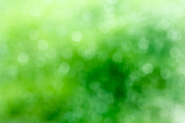 Fresco sfondo bio verde sano con fogliame sfocato astratto — Foto Stock