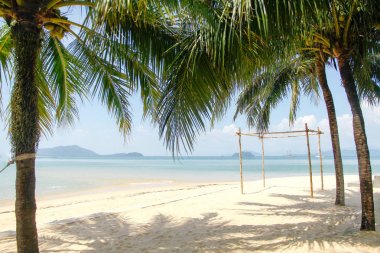 Hindistan cevizi ağaçları plajda denizin güzel manzara ile kaplı.