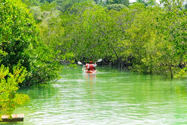 マングローブ ジャングルの近く島 Payam リゾート等タイでカヤック — ストック写真