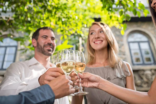 La gente che si stringe gli occhiali alla festa all'aperto — Foto Stock