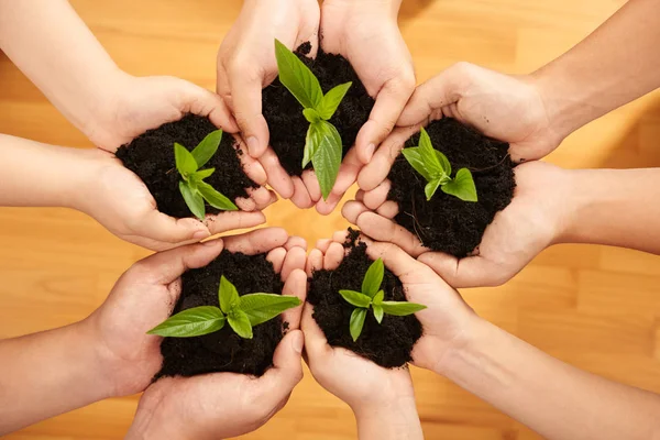 Hands of people holding green plans — Stock Photo, Image