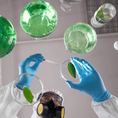 Bilim adamı koyarak reaktif yaprak üzerinde,