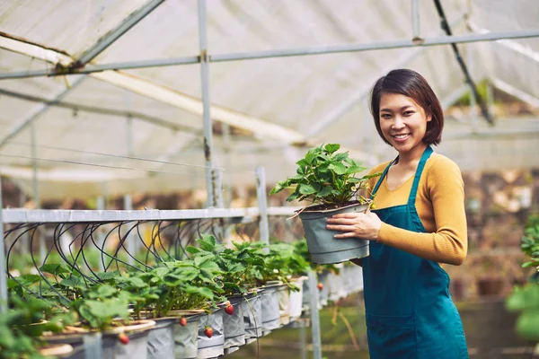 Feminino agricultor asiático com pote — Fotografia de Stock