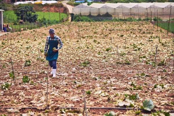 Homem a trabalhar na quinta — Fotografia de Stock