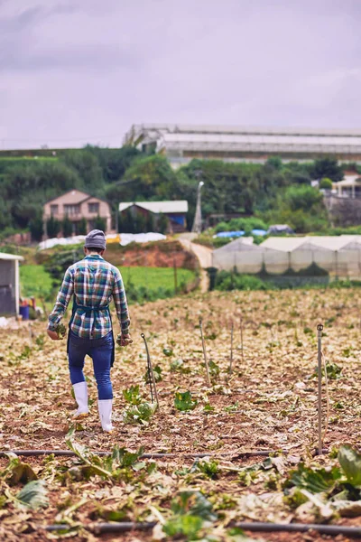 Agricultor caminando en el campo — Foto de Stock