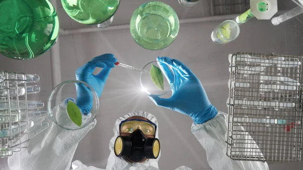 Wetenschapper putting reagens op blad, — Stockfoto