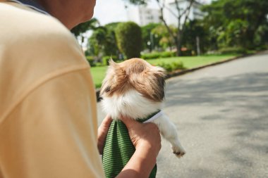 adam taşıma fino köpeği