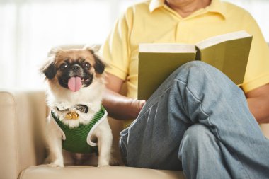 Adam köpek ile kitap okuma