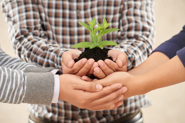 People holding plant together — Stock Photo, Image