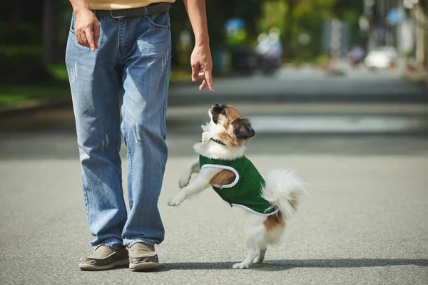Man går med sin hund — Stockfoto