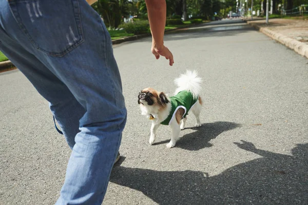 Man leker med sin hund — Stockfoto