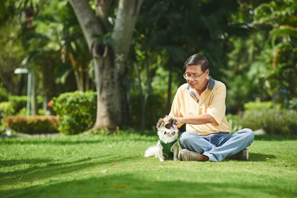 Muž sedí na trávě a hrát s psem — Stock fotografie