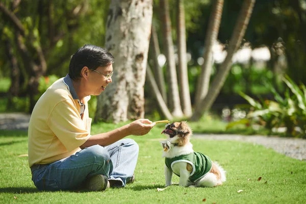 Mogen man träning hund — Stockfoto