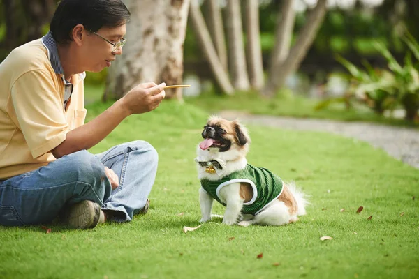 Maduro hombre entrenamiento perro — Foto de Stock