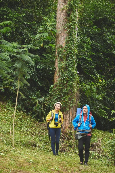 Wandelen in het bos samen (echt) paar — Stockfoto