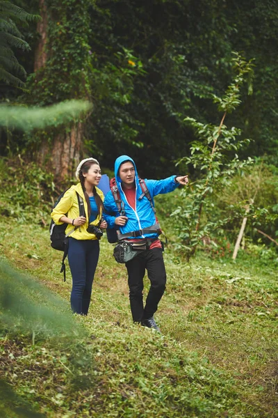 Couple hiking in forest together — Stock Photo, Image