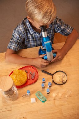 Boy using microscope clipart