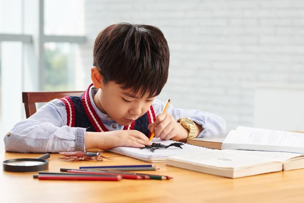 Schoolchild drawing insects — Stock Photo, Image
