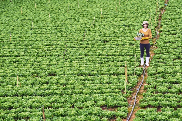 Γυναίκα γεωργός στο πεδίο του λάχανου — Φωτογραφία Αρχείου