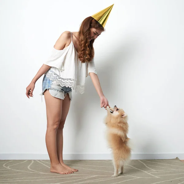 Vietnamees Meisje Feest Hoed Opleiding Van Haar Hondje — Stockfoto