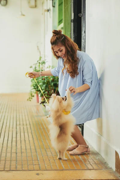 Gelukkig Vietnamese Jonge Vrouw Speelt Met Haar Hond — Stockfoto