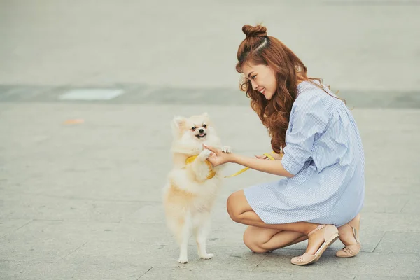 微笑的亚洲年轻女子教她的狗站在两个爪子 — 图库照片