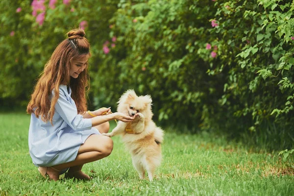 Cheerful Vietnamese Young Woman Playing Her Puppy Park — Stock Photo, Image