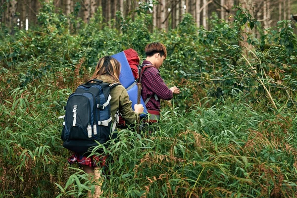 Toeristische Maken Hun Weg Door Het Dichte Struikgewas — Stockfoto