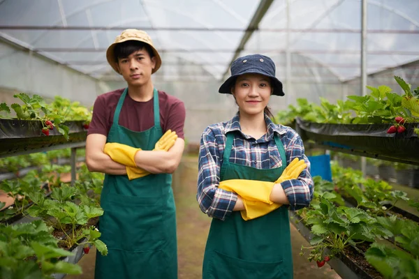 Zeker Jonge Landbouwers Schorten Rubberen Handschoenen Dragen Kas — Stockfoto