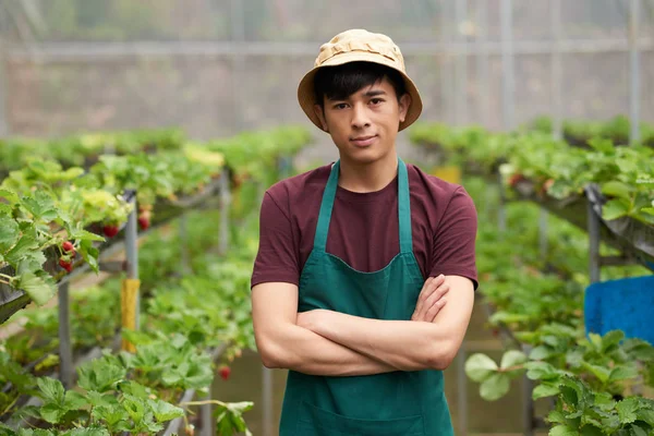 Hermoso Jardinero Asiático Posando Amplio Invernadero Moderno Con Los Brazos — Foto de Stock