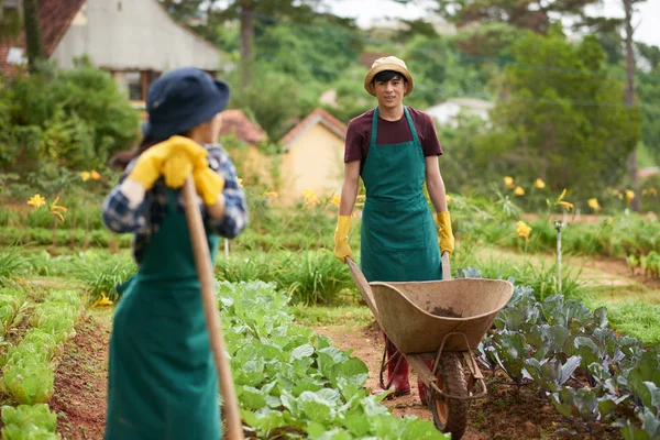 Grădinari Asiatici Grădina Agricolă Plante Verzi — Fotografie, imagine de stoc