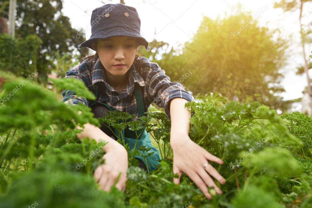 Pretty young woman working at vegetable garden illuminated with daylight