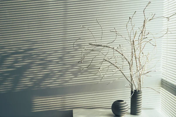 壁に白い木の枝が付いているつぼ — ストック写真