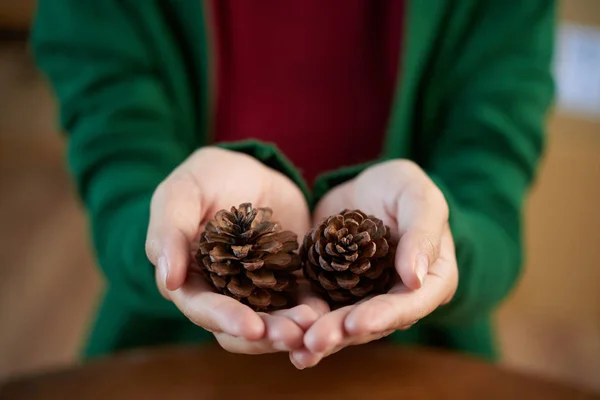 Hands Woman Two Pine Cones — Stock Photo, Image