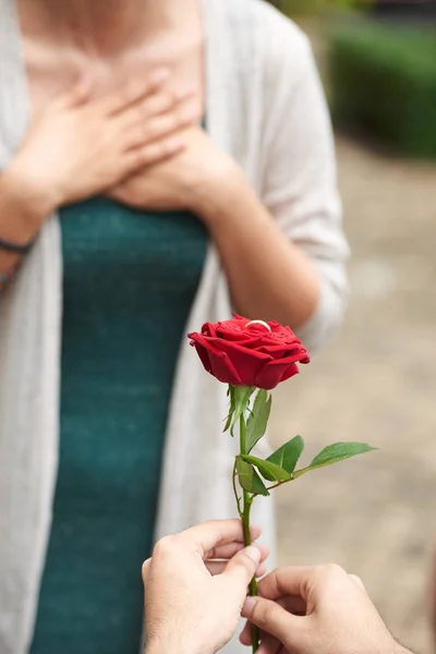 Fechar Homem Propondo Namorada Joelho Segurando Rosa Vermelha Com Anel — Fotografia de Stock