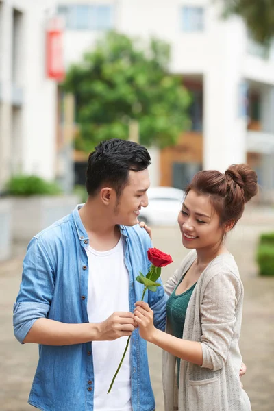 微笑的男子赠送红玫瑰到女朋友户外 — 图库照片