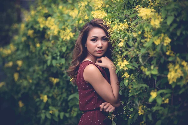 Attractive Vietnamese Young Woman Looking Camera Standing Bush Yellow Flowers — Stock Photo, Image