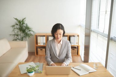 Laptop ofiste çalışan genç Japon kadın