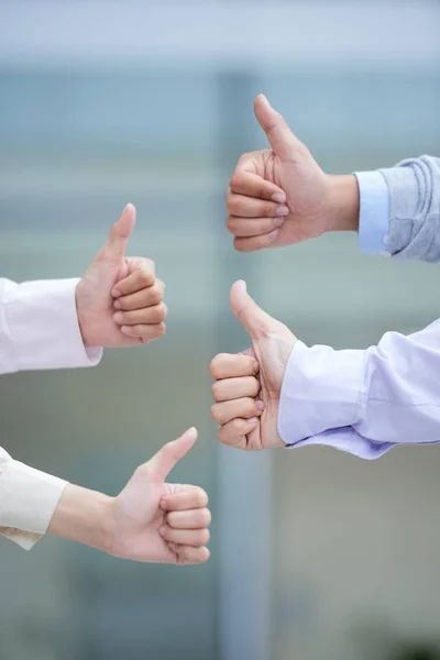 Business Teammedlemmar Visar Tummen Upp Som Symbol För Godkännande — Stockfoto
