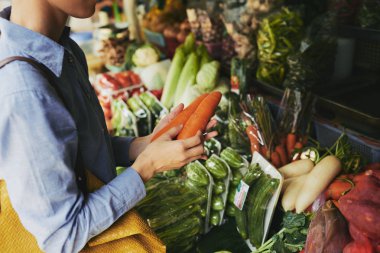 Organik sebze gıda market alış kadın yakın çekim görüntüsü