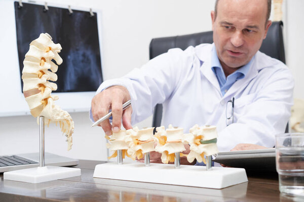 Doctor explaining various spine diseases by the example of plastic models