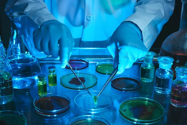 Hands Scientist Putting Piece Plant Petri Dish — Stock Photo, Image