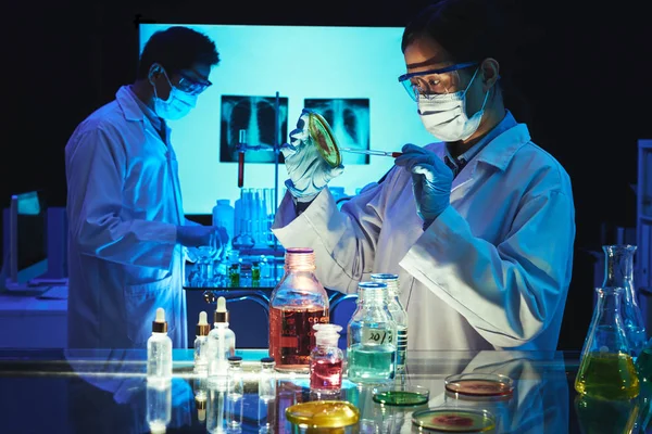 Trabalhadora Laboratório Examinando Substância Placa Petri — Fotografia de Stock