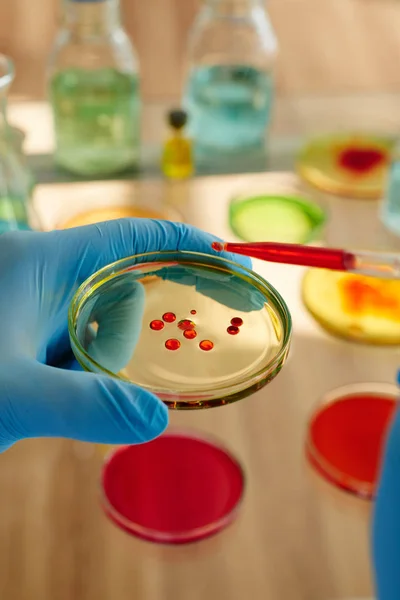 Mãos Cientista Colocando Líquido Vermelho Prato Vidro — Fotografia de Stock