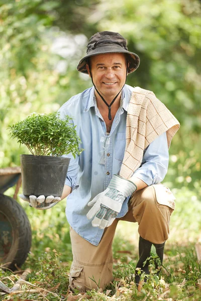 Smiling middle-aged man planting flowers in his backyard