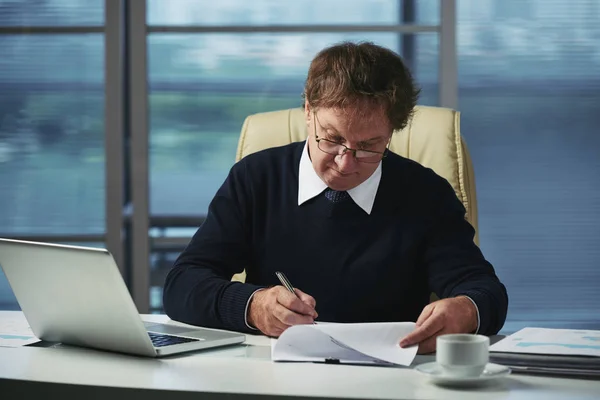 Business Executive Busy Analysis Documents — Stock Photo, Image