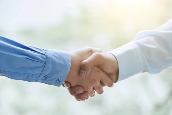 Zakenpartners Schudden Handen Bevestigen Deal — Stockfoto