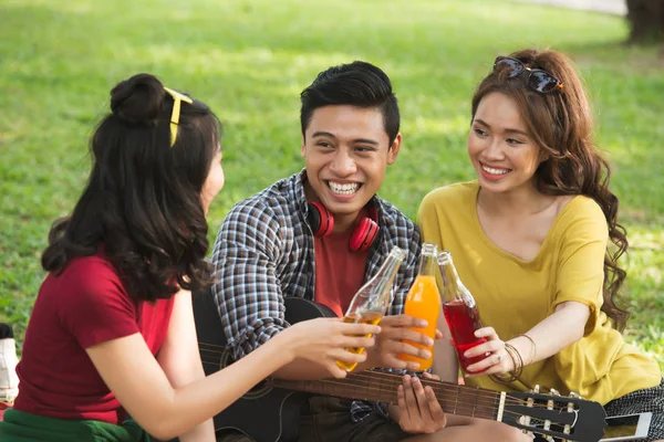 欢快的年轻人在野餐时喝软饮料 — 图库照片
