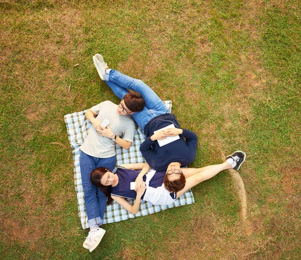 Adolescentes Amigos Acostados Una Manta Parque Durmiendo —  Fotos de Stock